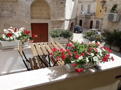 Casa Morola Monolocale Lägenhet Trani Exteriör bild